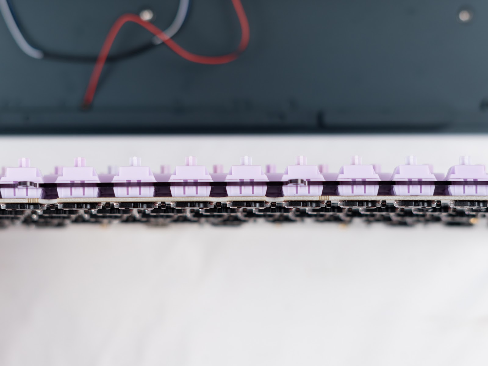 Switches installed in plate